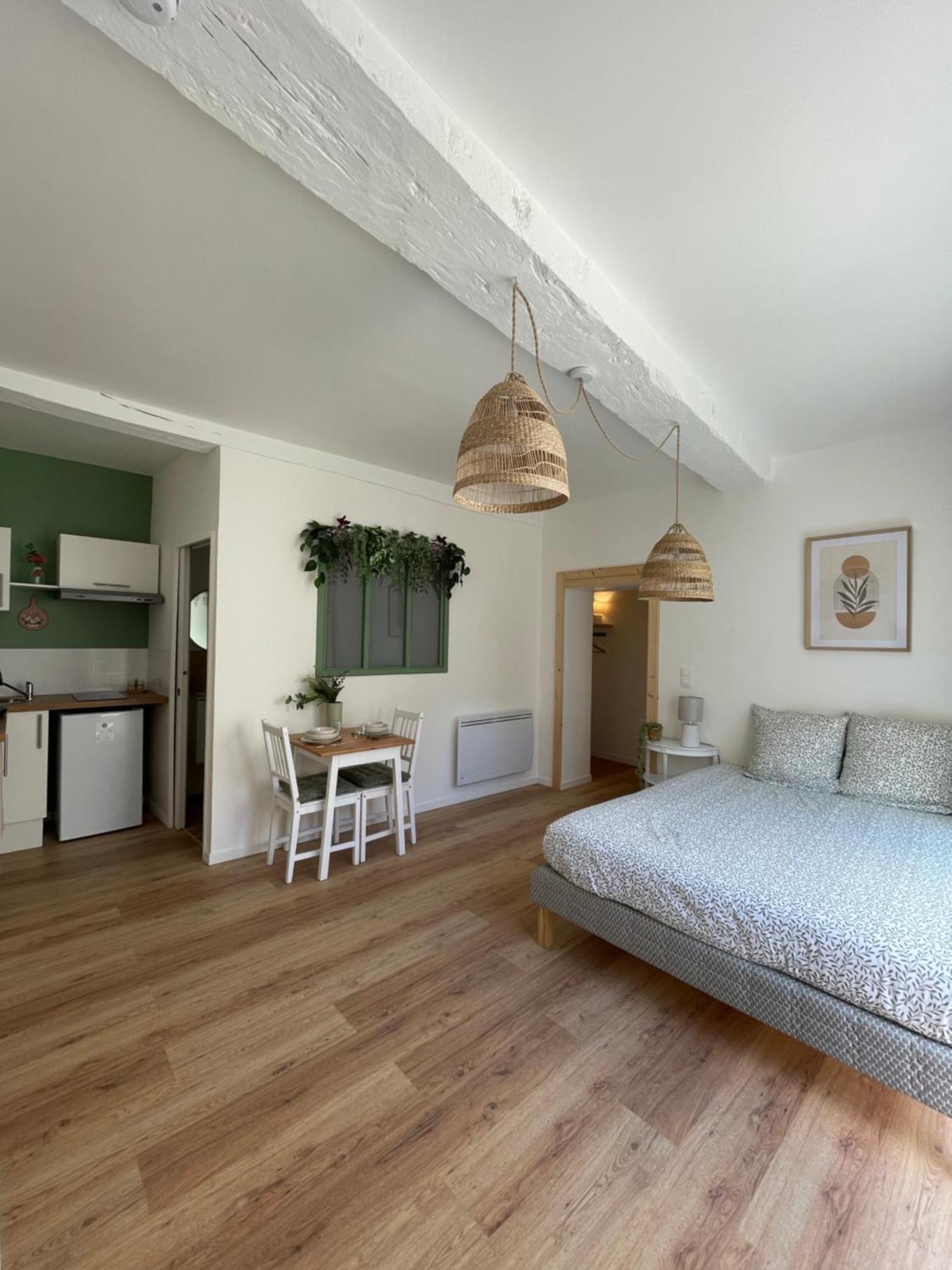 Appartement Chaleureux Blere Luaran gambar